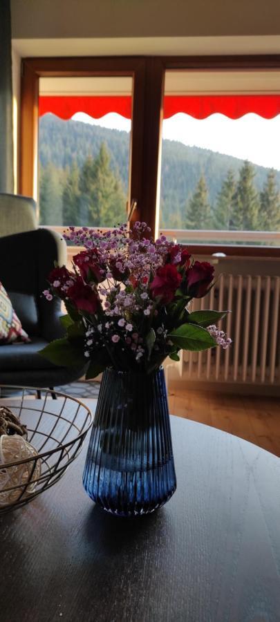 Ferienwohnung Tannenballett Im Schwarzwald ไบเออร์สบรอนน์ ภายนอก รูปภาพ