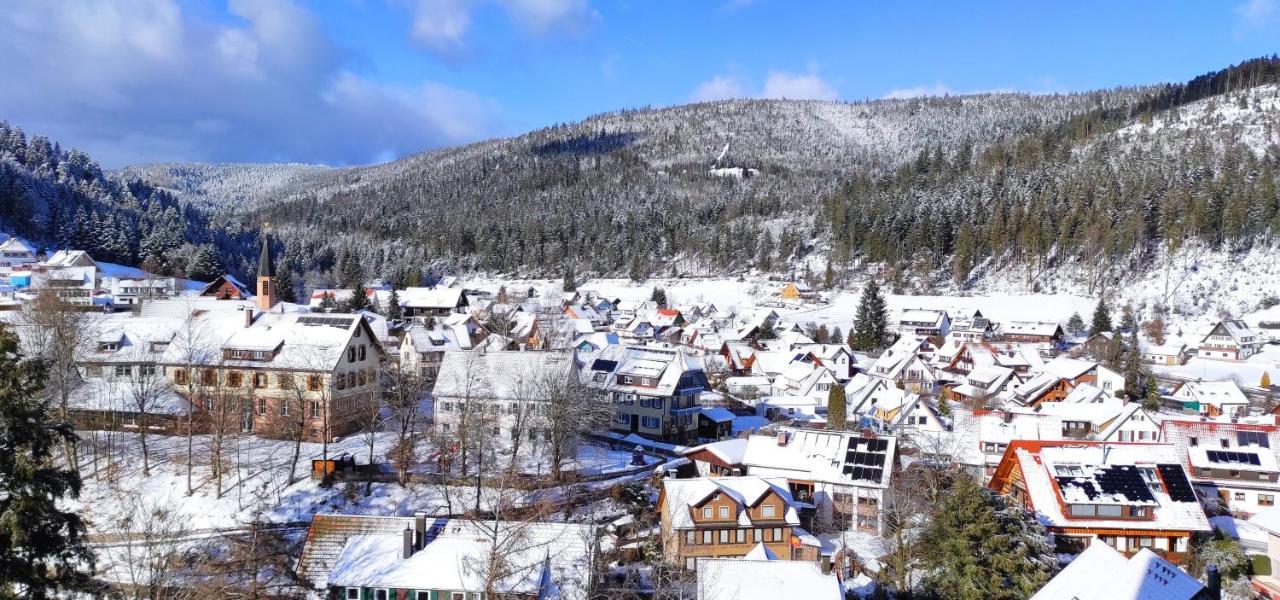 Ferienwohnung Tannenballett Im Schwarzwald ไบเออร์สบรอนน์ ภายนอก รูปภาพ