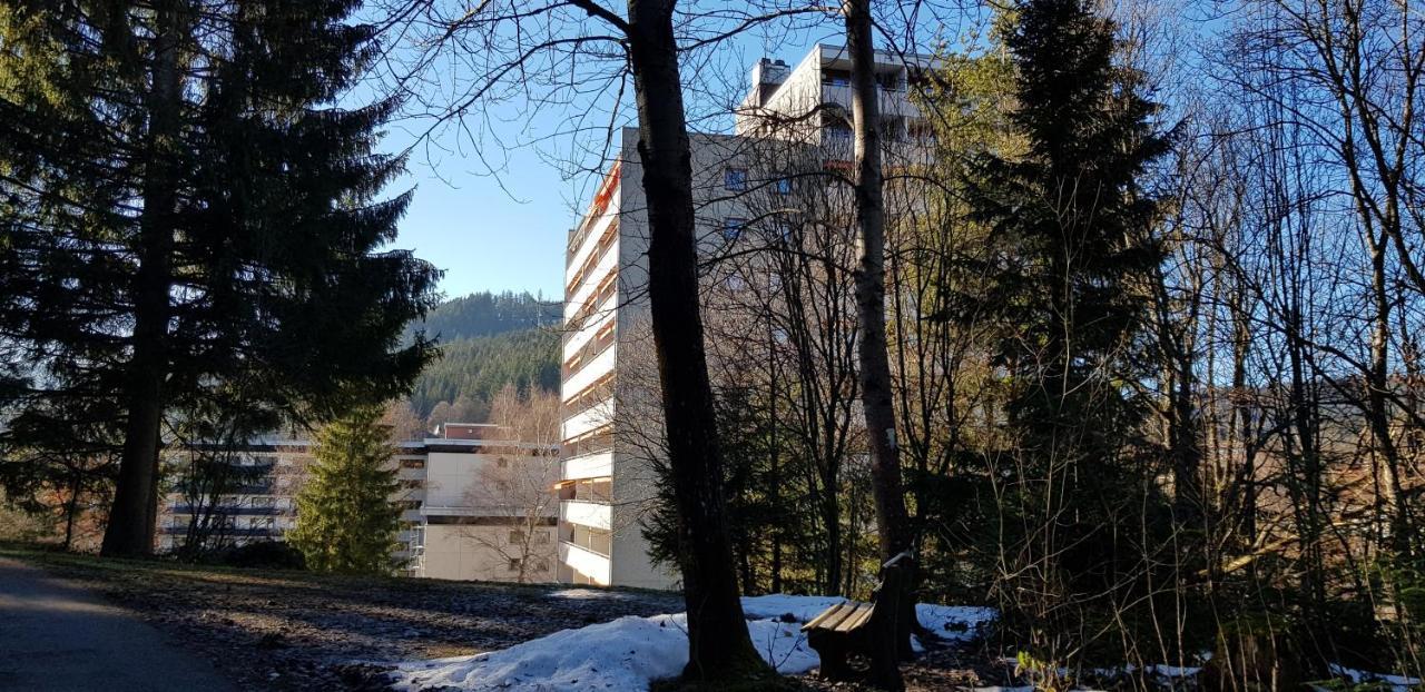 Ferienwohnung Tannenballett Im Schwarzwald ไบเออร์สบรอนน์ ภายนอก รูปภาพ
