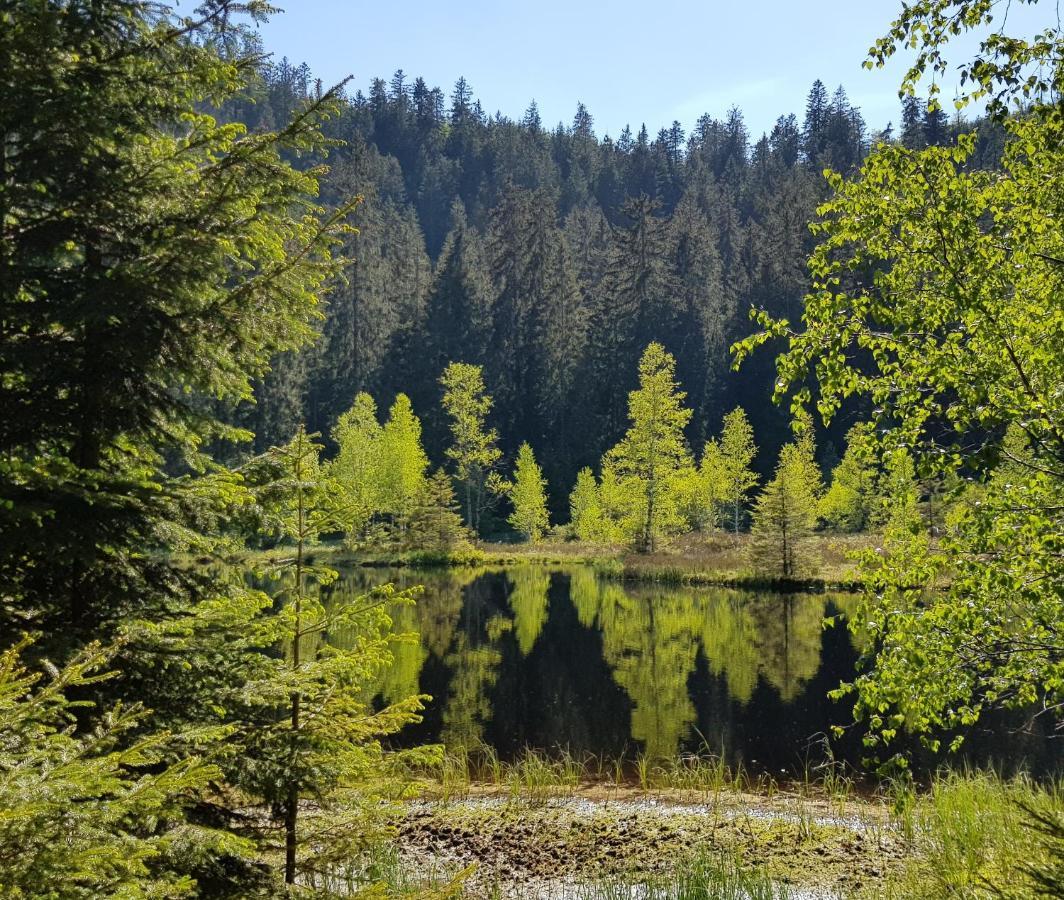 Ferienwohnung Tannenballett Im Schwarzwald ไบเออร์สบรอนน์ ภายนอก รูปภาพ