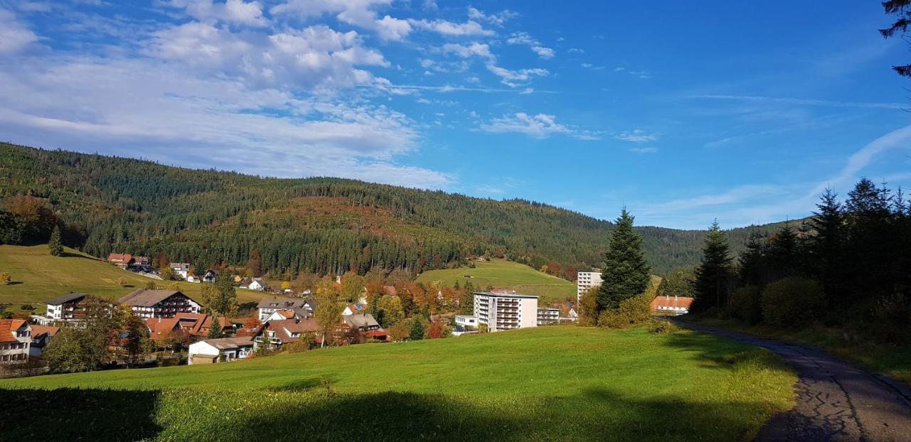 Ferienwohnung Tannenballett Im Schwarzwald ไบเออร์สบรอนน์ ภายนอก รูปภาพ