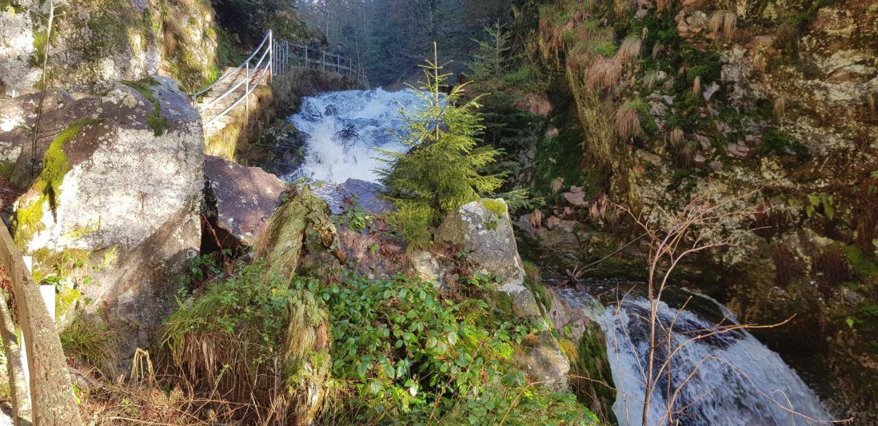Ferienwohnung Tannenballett Im Schwarzwald ไบเออร์สบรอนน์ ภายนอก รูปภาพ
