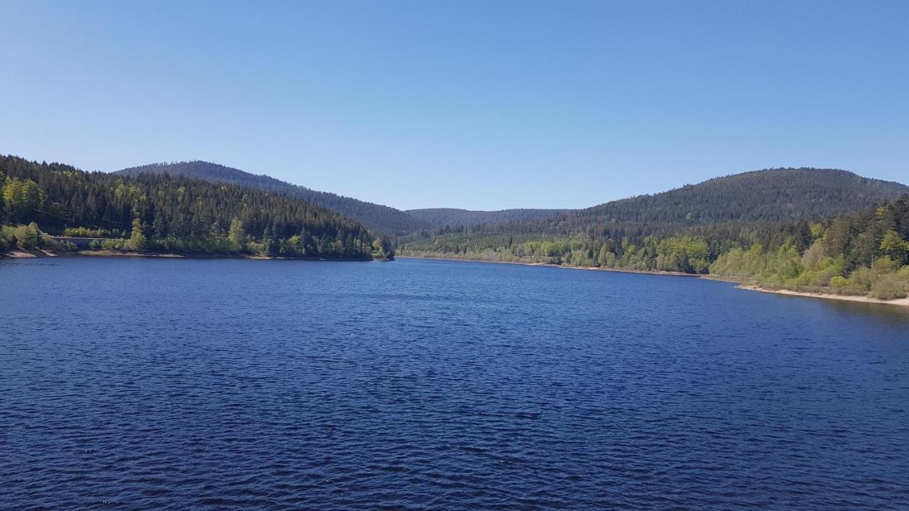Ferienwohnung Tannenballett Im Schwarzwald ไบเออร์สบรอนน์ ภายนอก รูปภาพ