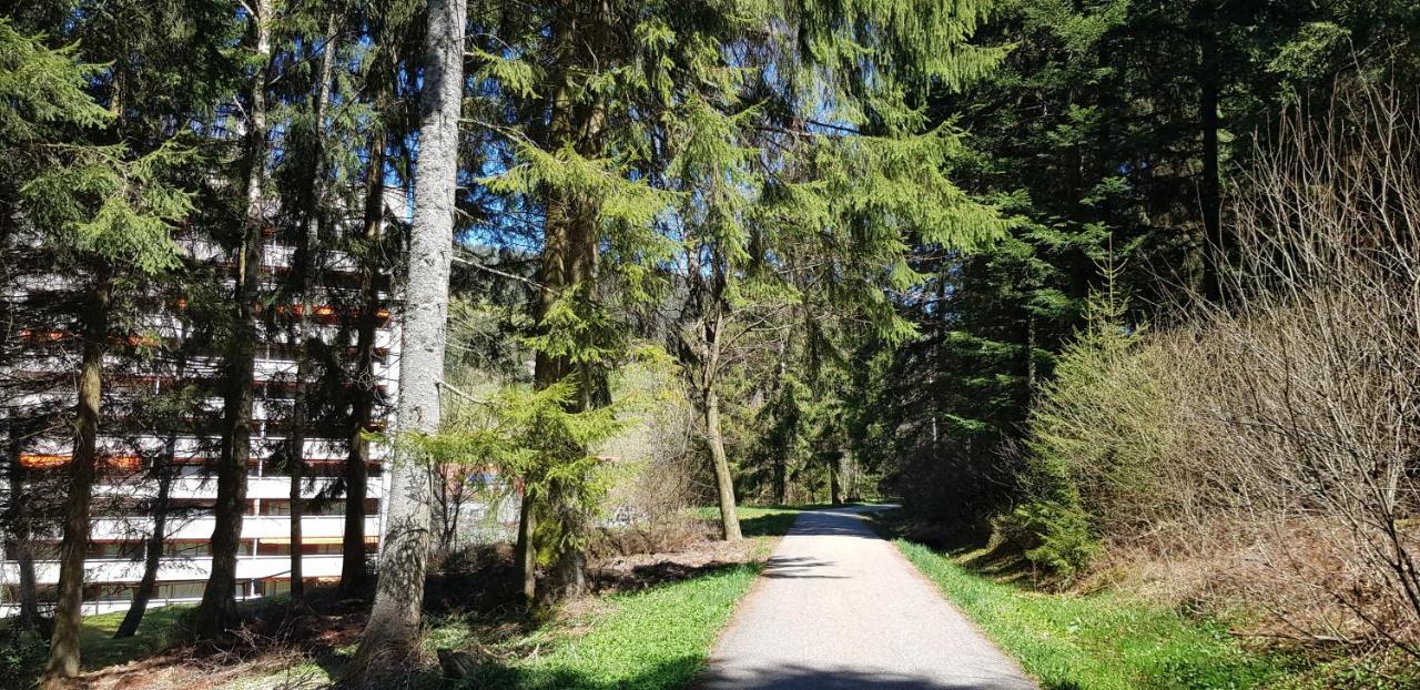 Ferienwohnung Tannenballett Im Schwarzwald ไบเออร์สบรอนน์ ภายนอก รูปภาพ