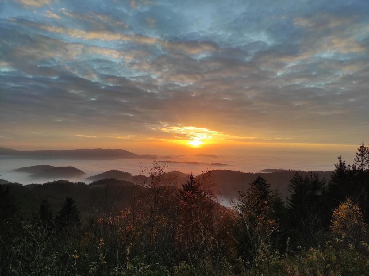 Ferienwohnung Tannenballett Im Schwarzwald ไบเออร์สบรอนน์ ภายนอก รูปภาพ