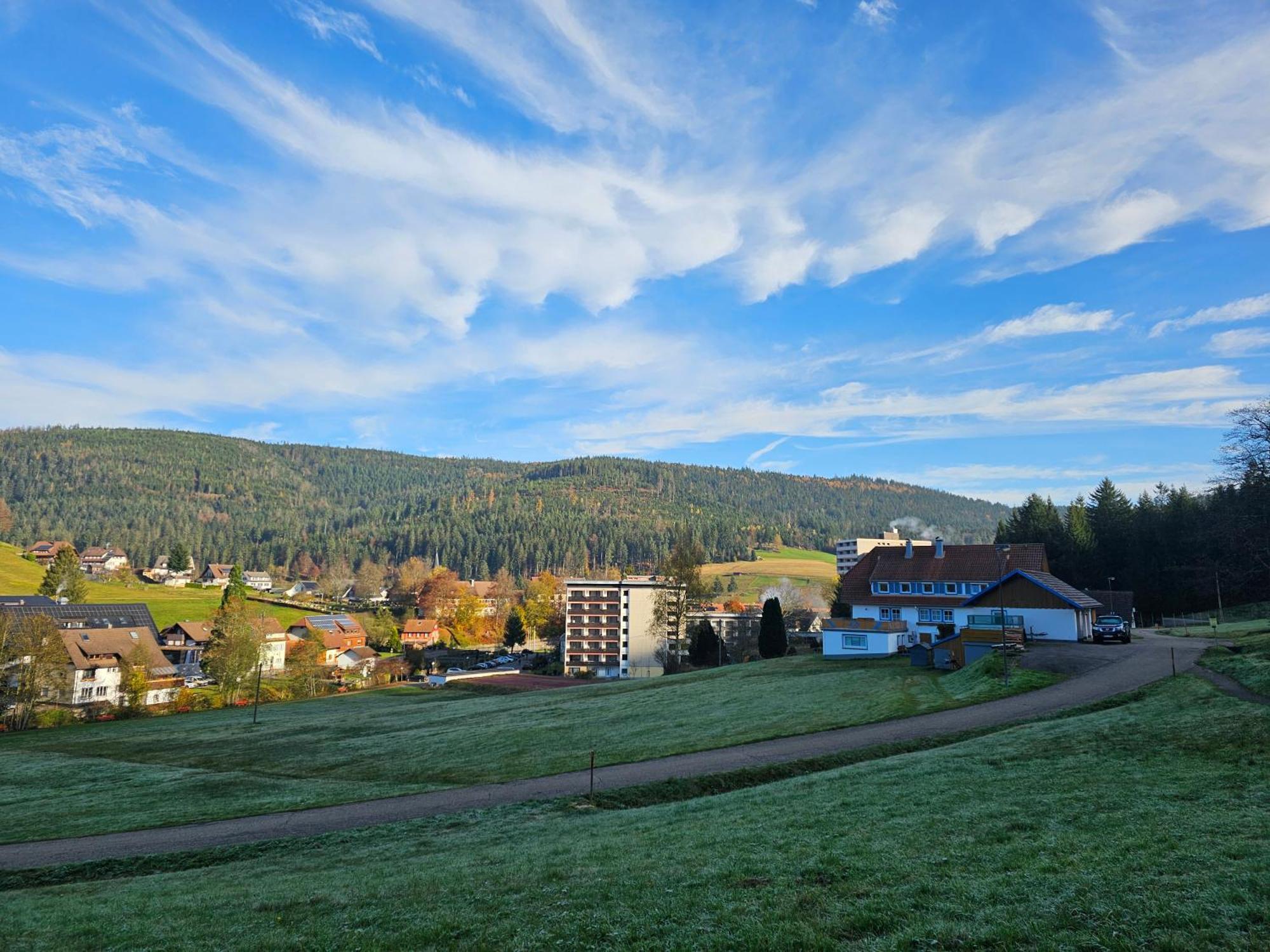 Ferienwohnung Tannenballett Im Schwarzwald ไบเออร์สบรอนน์ ภายนอก รูปภาพ