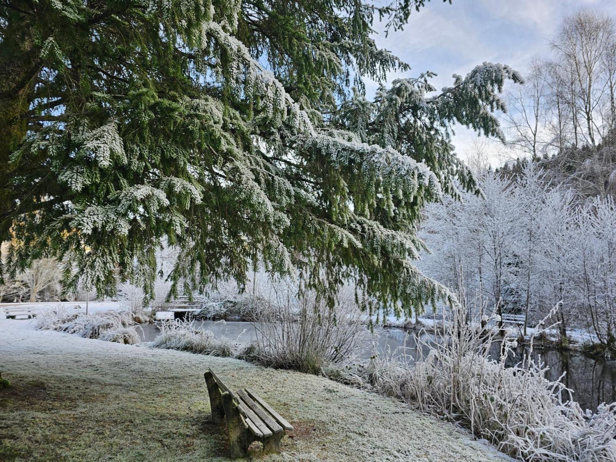 Ferienwohnung Tannenballett Im Schwarzwald ไบเออร์สบรอนน์ ภายนอก รูปภาพ